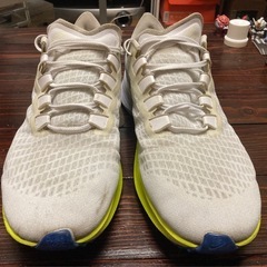 ナイキ エアズームペガサス 37 US12 30cmの画像