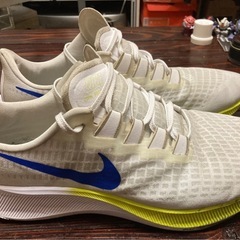 ナイキ エアズームペガサス 37 US12 30cmの画像