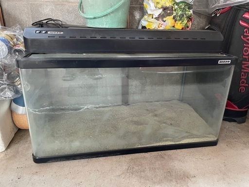 水槽『決まりました』