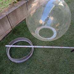 とても大きい水槽？金魚鉢？の画像