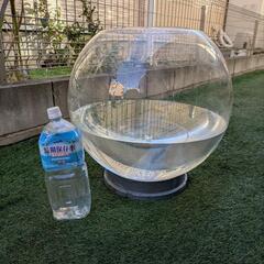 とても大きい水槽？金魚鉢？の画像