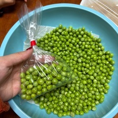 えんどう豆
