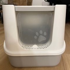 猫　トイレ　