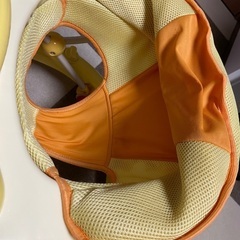 アンパンマン 歩行器の画像