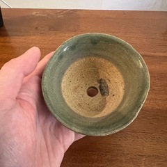 鉢⑧の画像