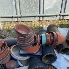 植木鉢 何個でもの画像