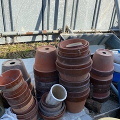 植木鉢 何個でもの画像