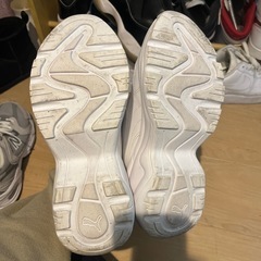 PUMAの画像