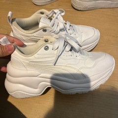 PUMAの画像