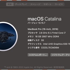 【良品】2019年モデル 16インチ MacBook Pro（スペースグレイ） i7/16GB/512GB の画像