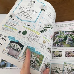 お花カタログ 2025 1点の画像