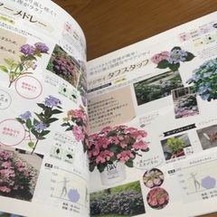 お花カタログ 2025 1点の画像