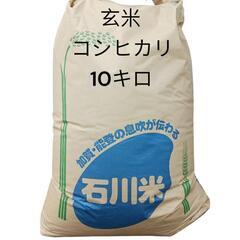 米 コシヒカリ 10キロ 玄米