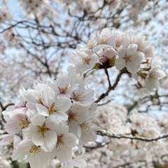 手話ともだち募集