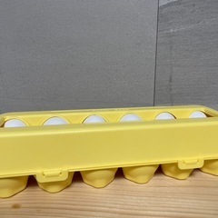 知育玩具 たまご 形合わせ