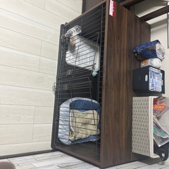 犬　ゲージ