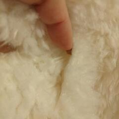 値下げ もこもこジャケットの画像