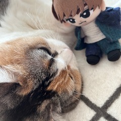 秋葉区でお友達募集✧*。