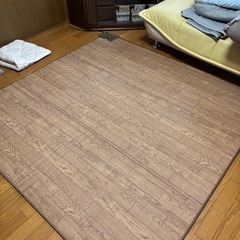 ホットカーペット【決まりました
】