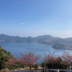 花見🌸花見🌸花見🌸❗️😊 - 友達