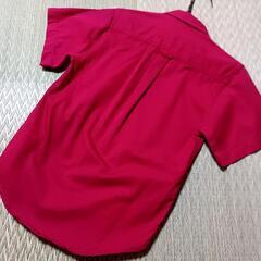 子供半袖シャツ 5才 nautica ノーティカの画像