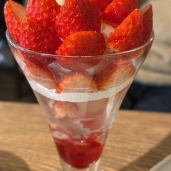 お料理仲間