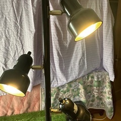 プライスダウン！！スタンド照明！！の画像