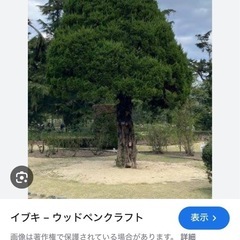 薪無料