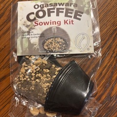 コーヒー　ソーイングキット　無料