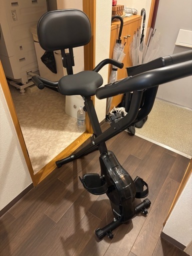 Steady フィットネスバイク マット 背もたれ付き ST120-BL