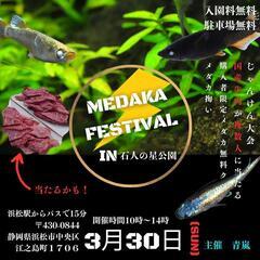 3月30日　MEDAKA⚡️FESTIVAL（メダカフェスティバル）