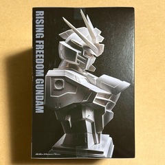 機動戦士ガンダムSEED FREEDOM G-CERAMICALライジングフリーダムガンダムの画像