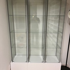 デトルフ　コレクションラック　