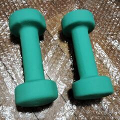 ダンベル2kg 2本