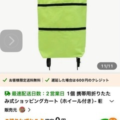 折りたたみキャリーバッグ