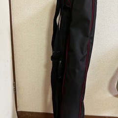 ショートスキー板の画像