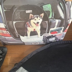 大型犬用テントの画像