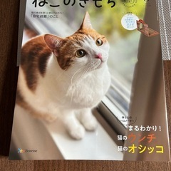 ねこのきもち