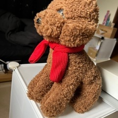 ぬいぐるみの画像