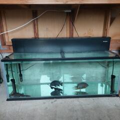 １２０センチ水槽と魚とフィルターセット