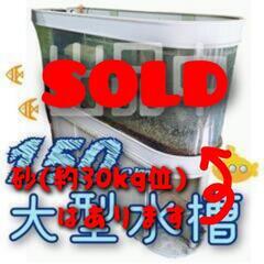 120cm【大型】曲げガラス水槽
【熱帯魚】爬虫類系ペットなどにも☆　　　※特注台つきの画像