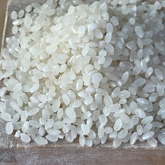 徳島県の玄米の中古が安い!激安で譲ります・無料であげます 徳島県の玄米の中古が安い!激安で譲ります・無料であげます