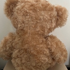 くまのぬいぐるみの画像