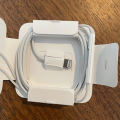 【未使用】iPhone  イヤホン　充電器セットの画像