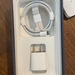 【未使用】iPhone  イヤホン　充電器セットの画像