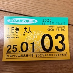 ひまわりの湯入浴券　大人