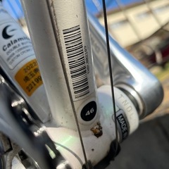 ロードバイク　カラミータ calamita due
の画像