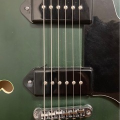 PLAYTECH SA20 Green　セミアコースティックギターの画像