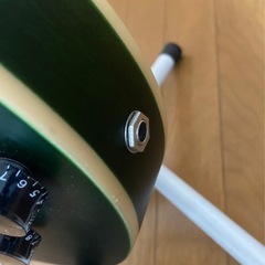 PLAYTECH SA20 Green　セミアコースティックギターの画像