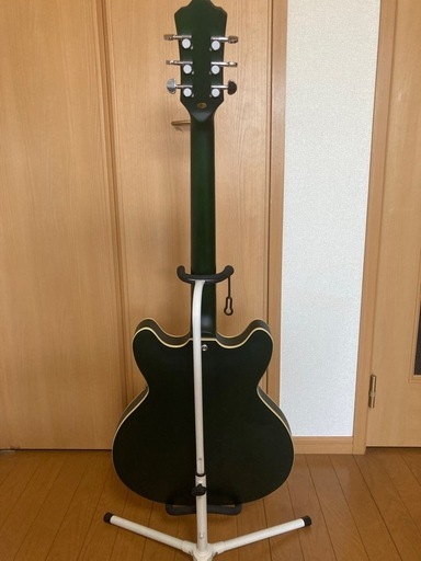 PLAYTECH SA20 Green　セミアコースティックギター